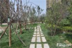 千年端游二层微变版本攻略:3000倍经验、免费自动打怪、全新地图探索!插图 千年端游