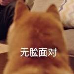 风云决千年私服攻略:全新玩法解析与操作心得插图 风云决千年私服