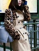 神武奇章千年全新玩法深度攻略|牌王系统·副本门票·闯关积分一次玩懂插图 神武奇章千年