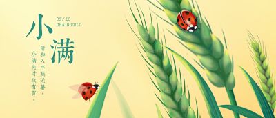 太极千年二层太极版本深度攻略:散人也能毕业的良心服玩法全解析插图 太极千年