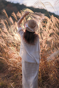 缘梦千年新江湖深度攻略|一个散人也能闯出名号的真实武侠世界插图 缘梦千年