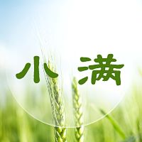 《天命千年》灭门之战深度攻略:门派荣耀、绝学修炼与实战心得全解析插图 天命千年